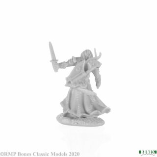 Aravir, Elf Ranger