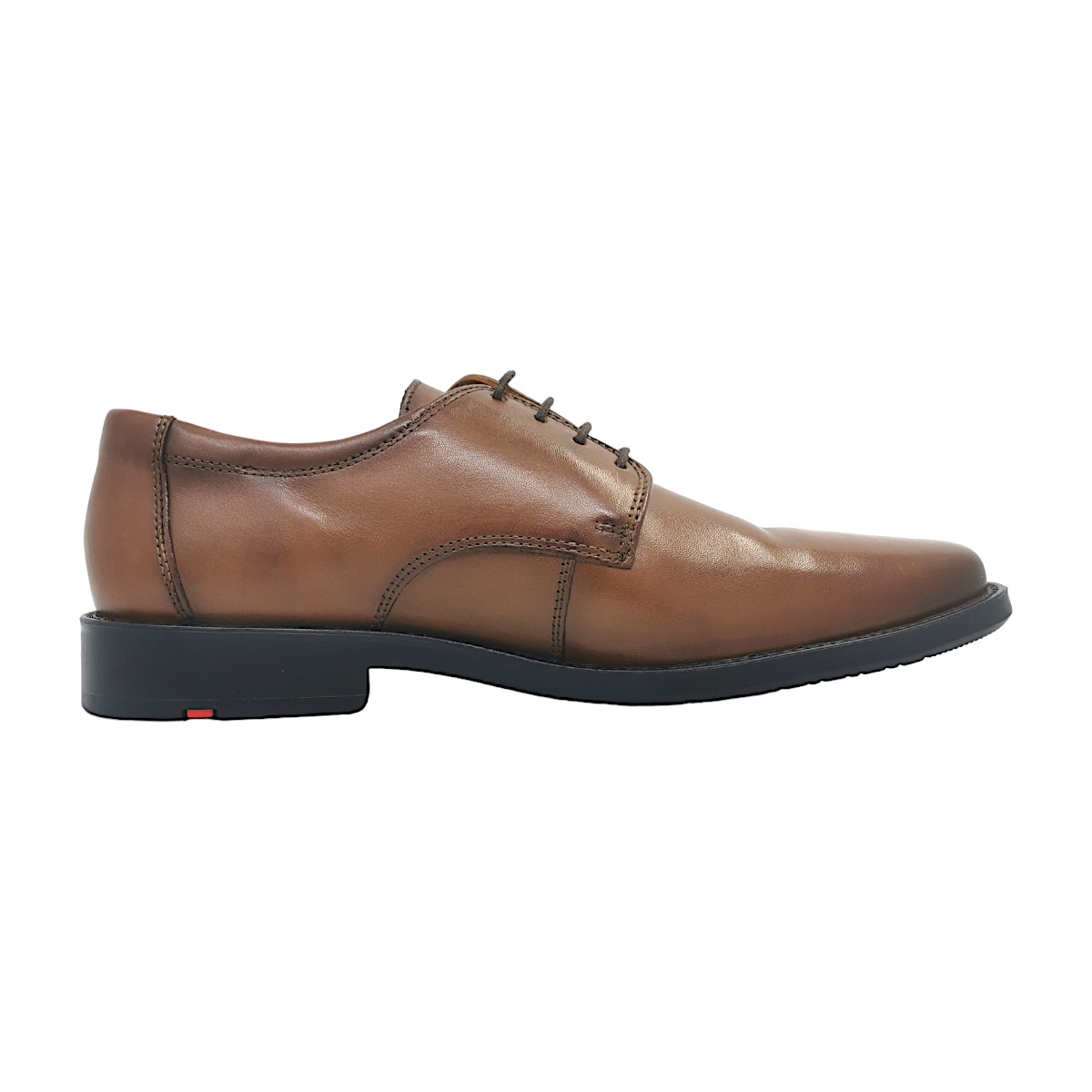 Lloyd Nevio 1401904 Braun 04 Noce