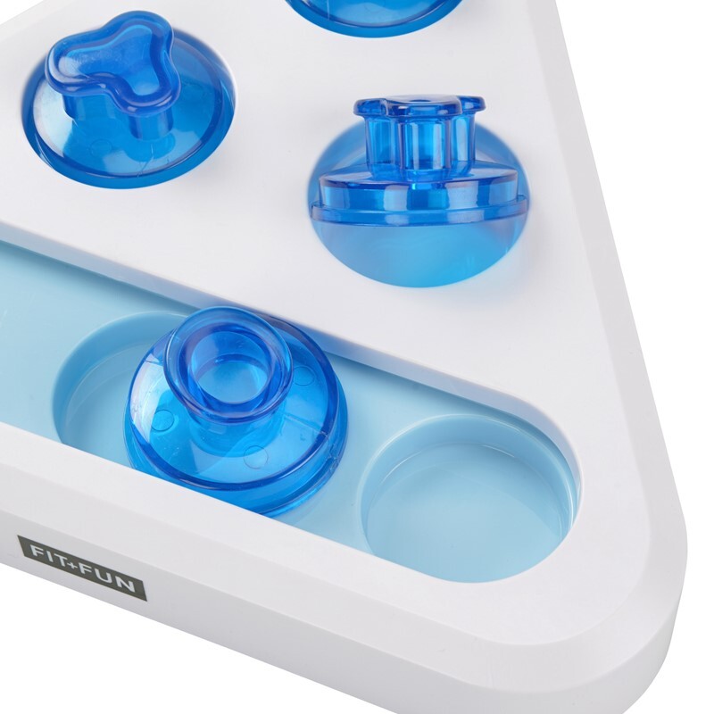 FIT+FUN Intelligenzspielzeug FIT+FUN Intelligenzspielzeug