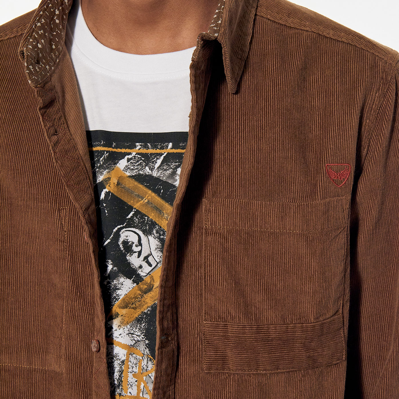 PLUTO  Chemise marron régular Homme en 100% coton