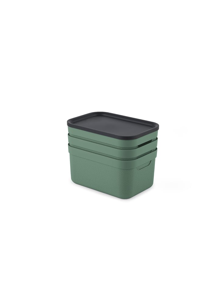 Rotho Jive Dekobox 3er-Set Aufbewahrungskorb 5l in Sea Spray green ged. günstig kaufen onesize
