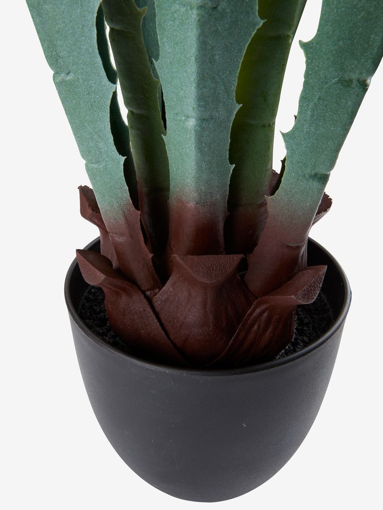 TOPPMEIS Kunstig plante TOPPMEIS B105cm grønn agave