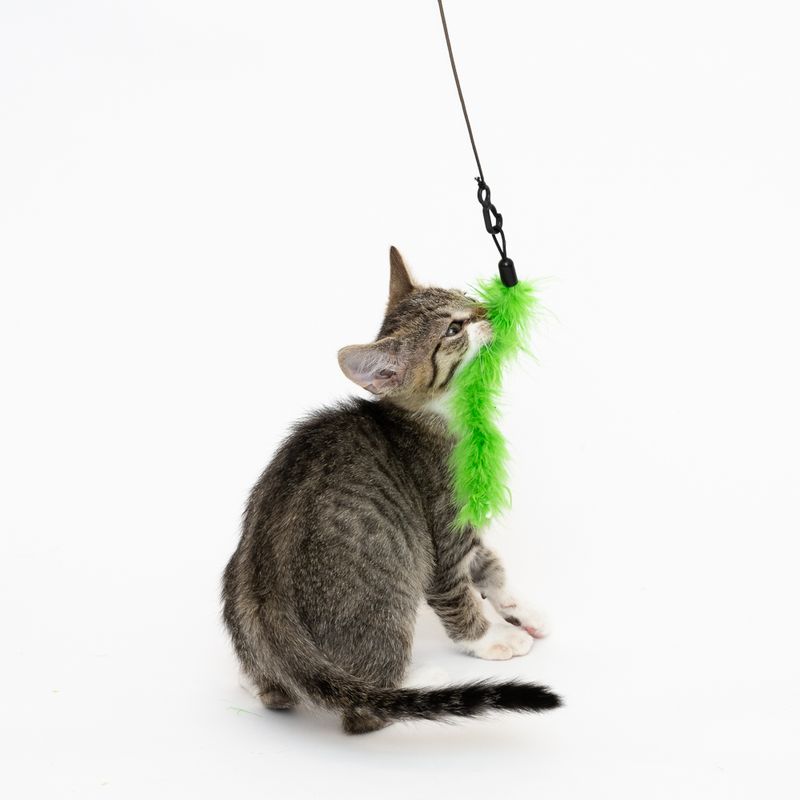 Katzenangel 3 in 1 zu TOP-Preisen