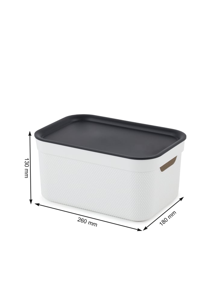 Rotho Jive Dekobox 3er-Set Aufbewahrungskorb 5l in Mistelweiß günstig kaufen onesize