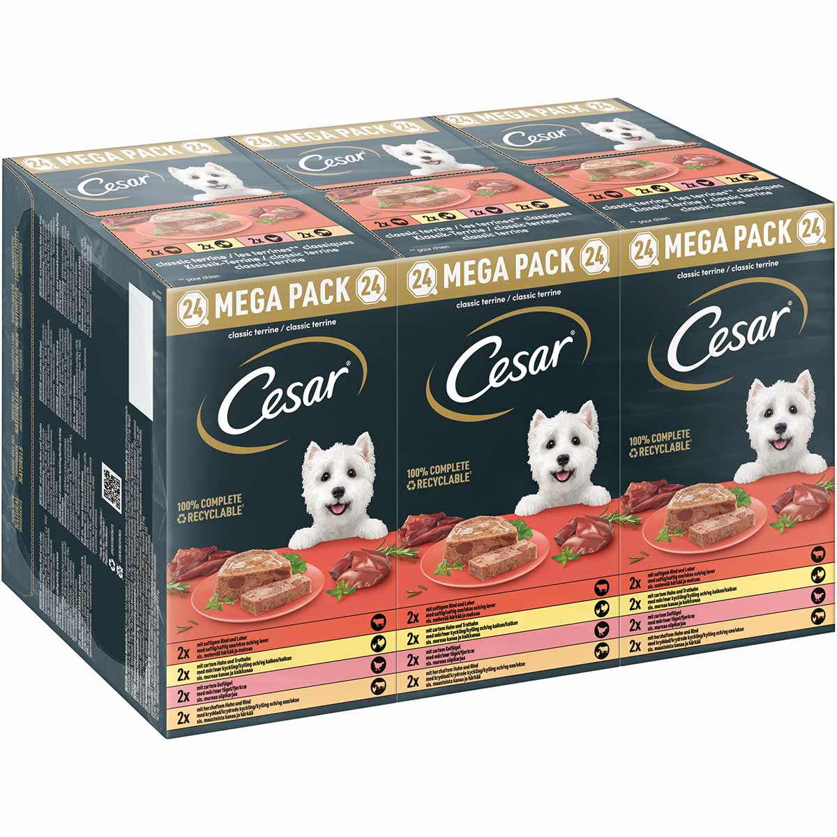 Cesar Klassik-Terrine 4 Varietäten Schale 24x150g bei ZooRoyal