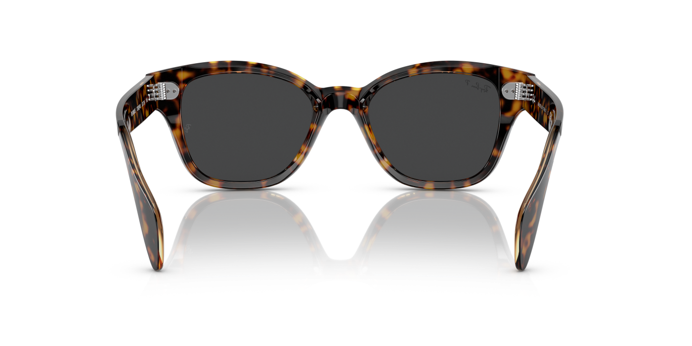 RB0880S RELOADED - Havana lucioasă pe negru maro transparent