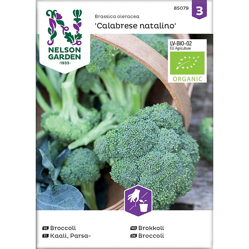 Nelson garden Frø Brokkoli Calabrese Natalino, organic