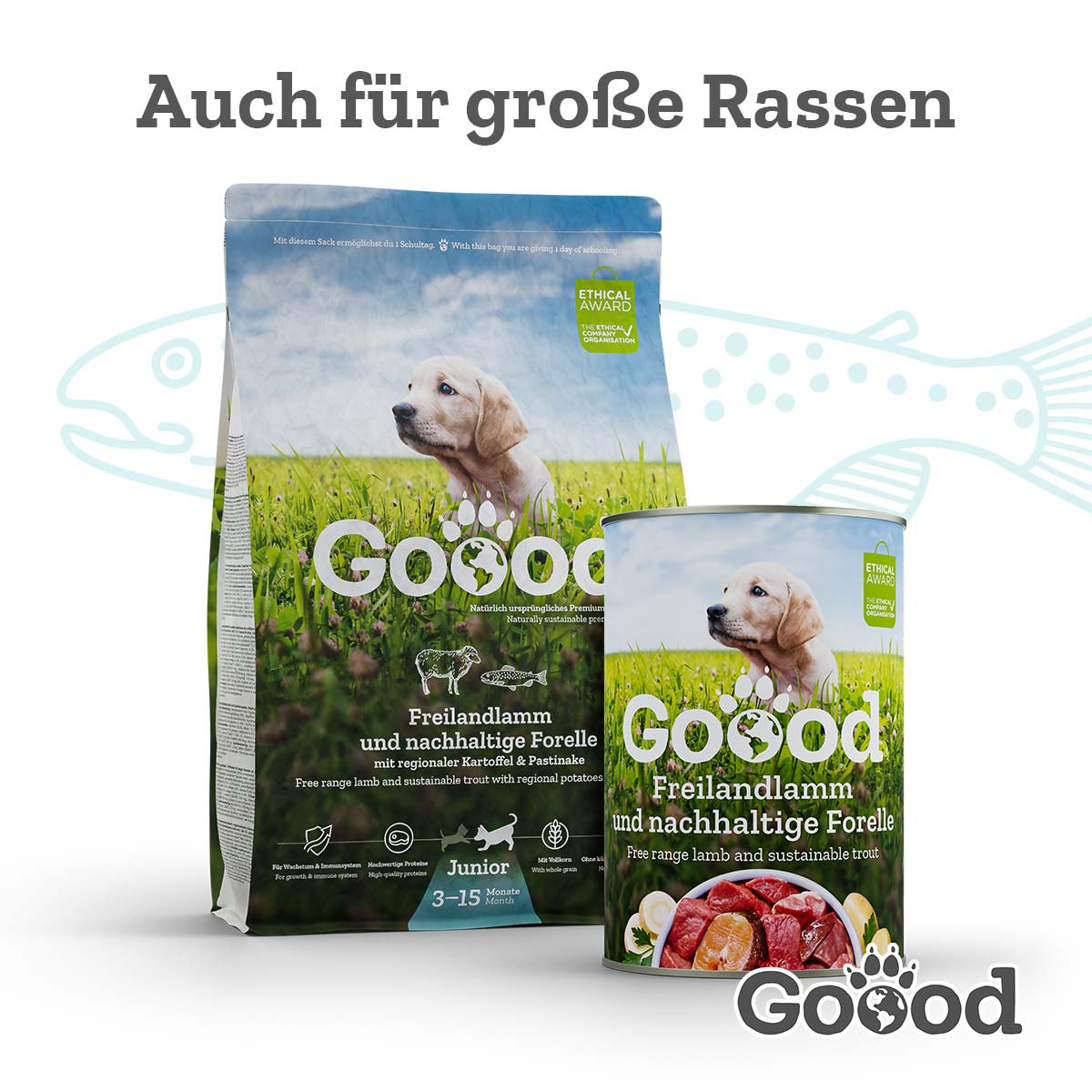 Goood Mini Junior Freilandlamm & nachhaltige Forelle bei ZooRoyal