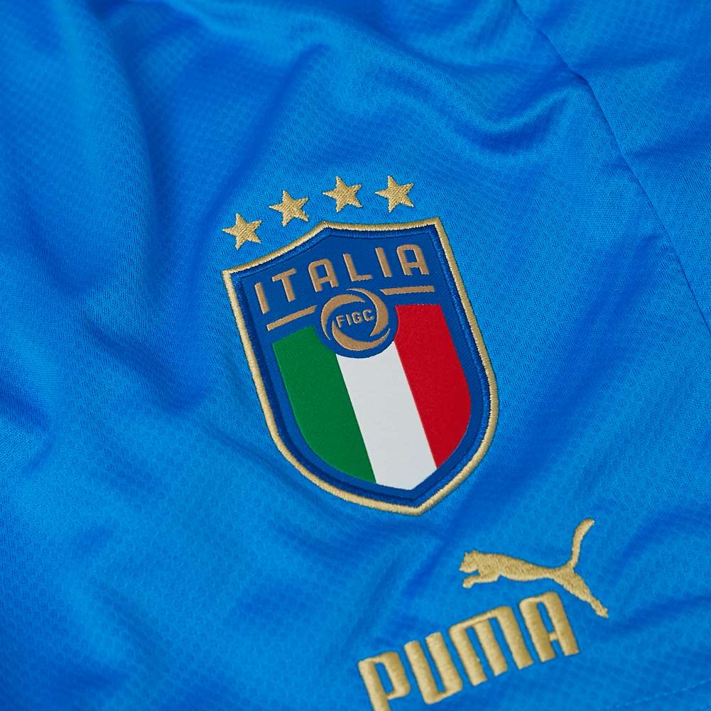 Italien FIGC PUMA Herren Shorts 765668-01