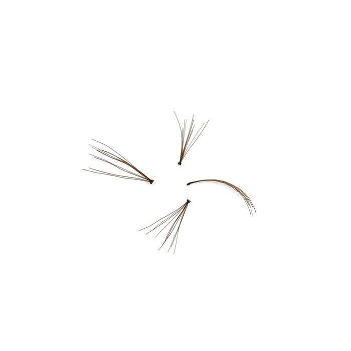 Pro Lashes Choco