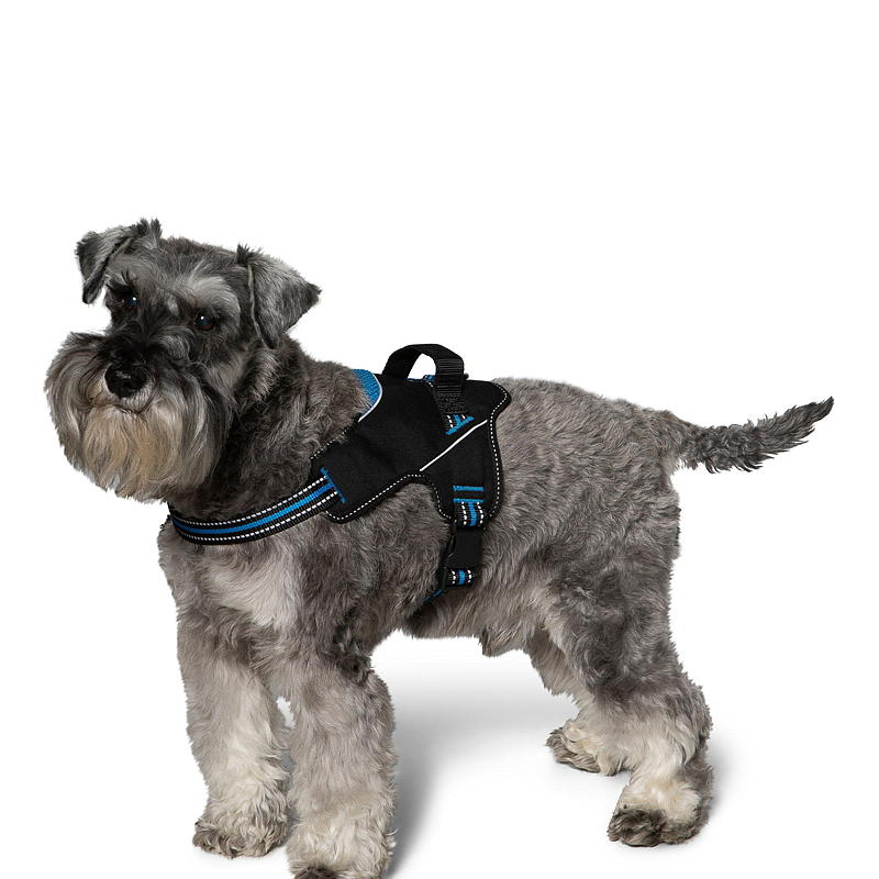 Zoozaker Hundesele 35 cm, m/håndtak