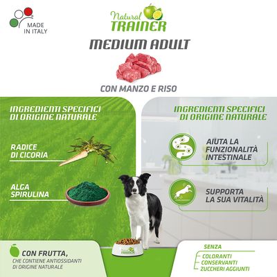 Nova Foods Trainer Natural Medium, Rind, Reis, Ginseng