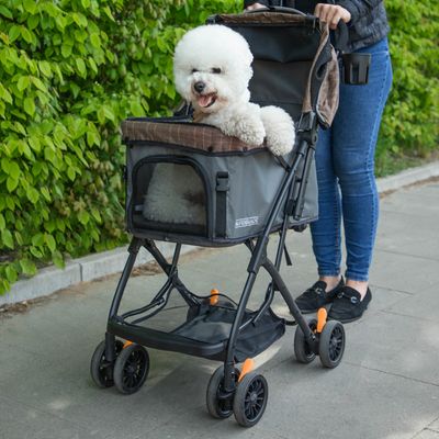 HAFENBANDE Haustier Buggy Sailor