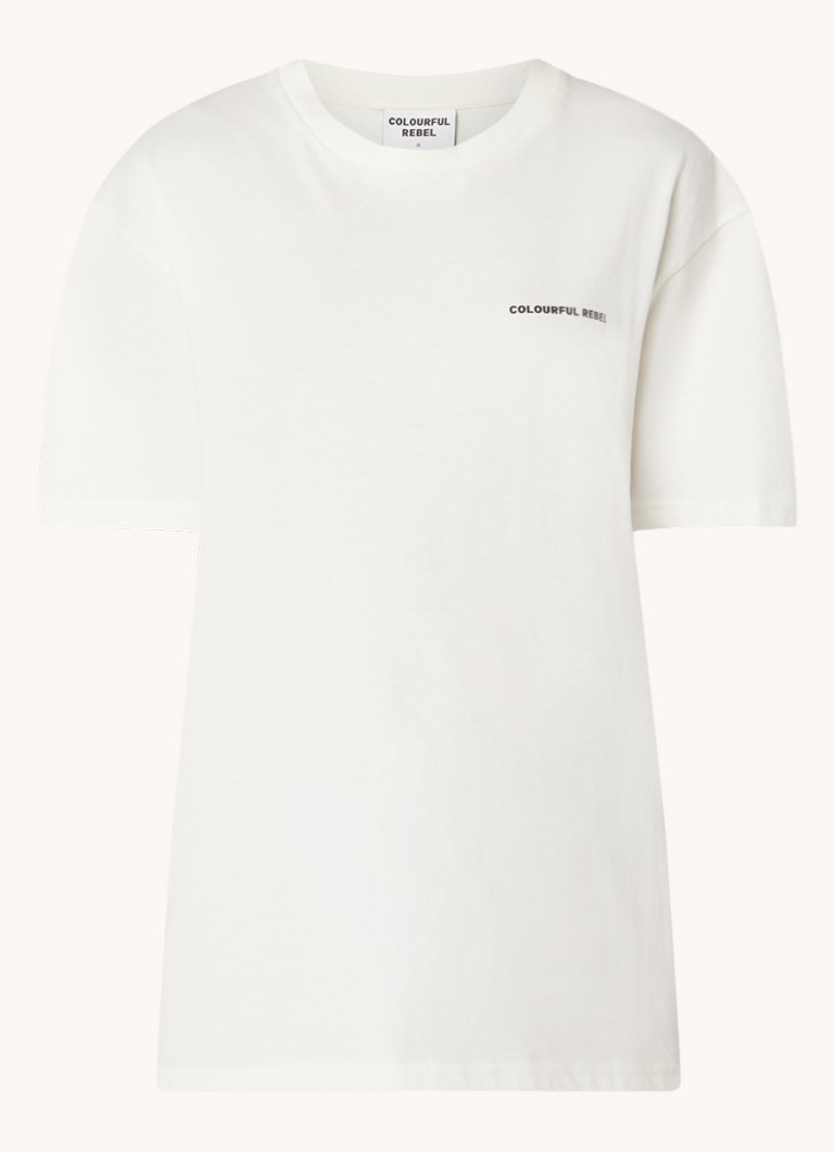 Colorful Rebel Secret Sun oversized organic cotton T-shirt with logo and back print