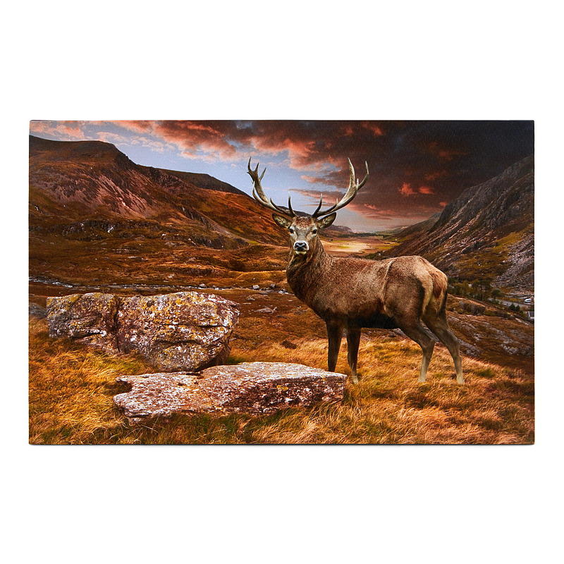 Home Canvasbilde 38x58 cm LED/fiberoptik Autumn