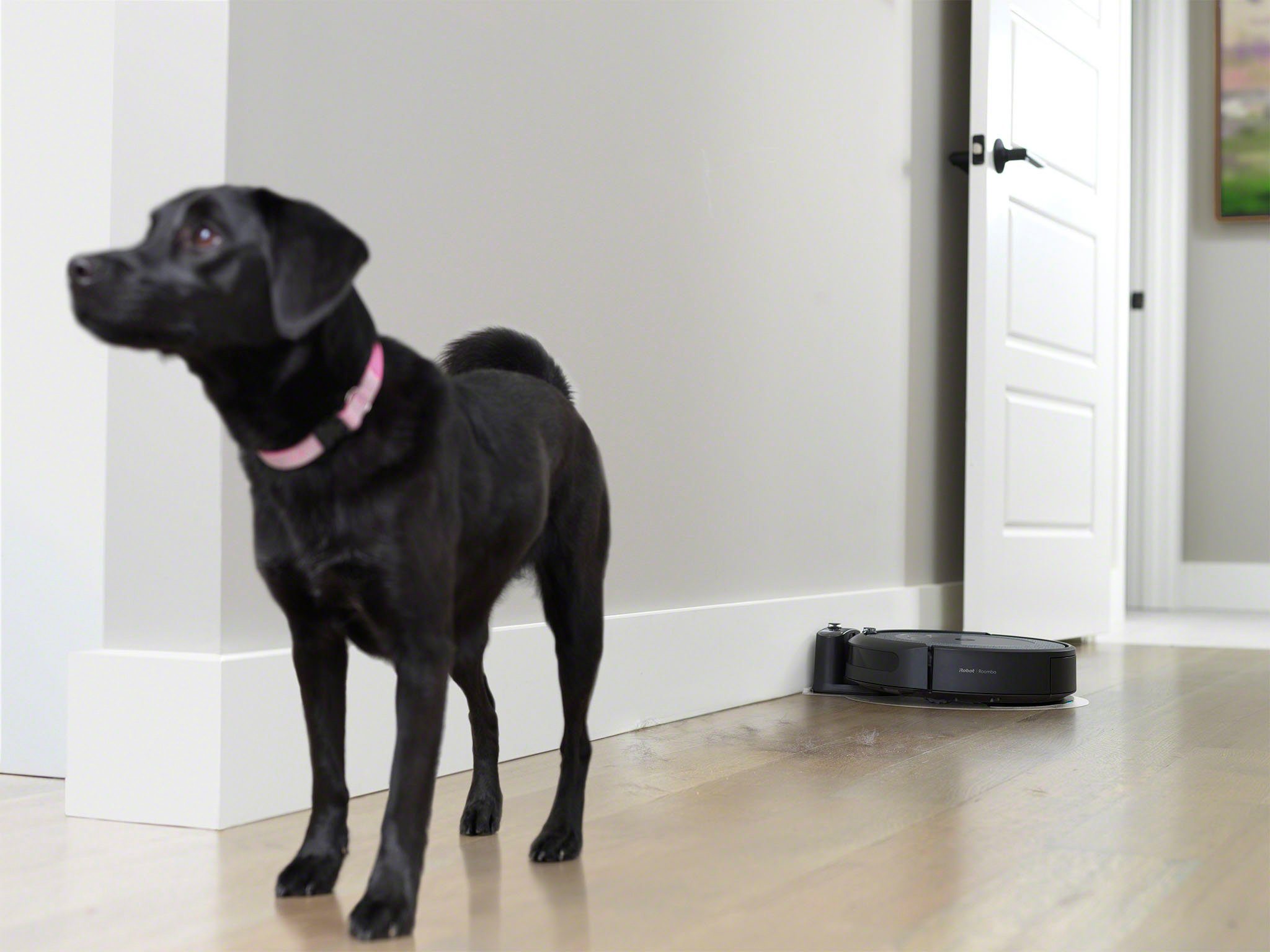 iRobot Saugroboter Roomba Combo i5 (i5178); Saug- und Wischroboter