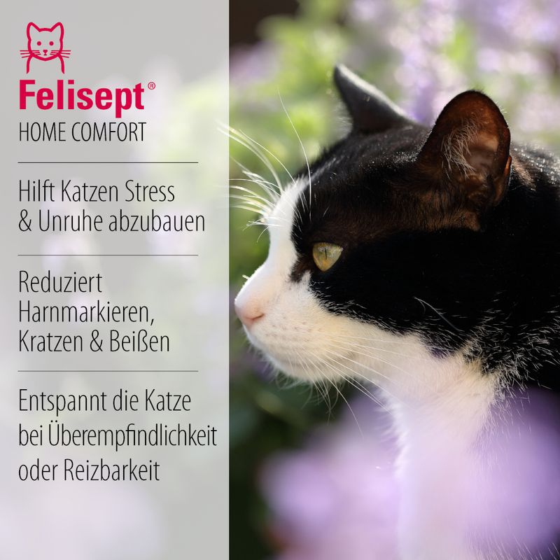 Felisept Home Comfort Beruhigungsspray zu TOP-Preisen | bitiba %