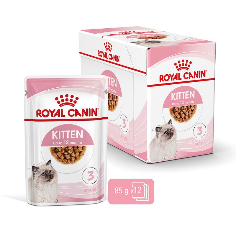 Royal Canin Kitten in Soße zu TOP-Preisen