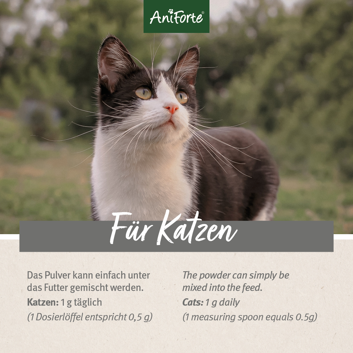 Aniforte Ergänzungsfutter & Aufzucht Aniforte 4in1 Complete Cat 60g