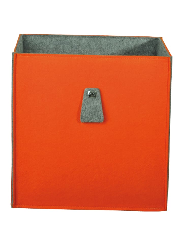 Phoenix Group AG  Aufbewahrungsbox 