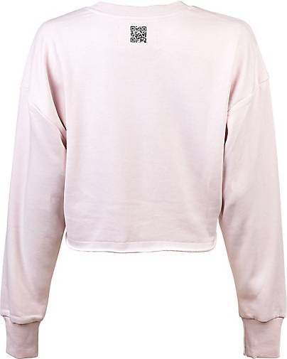 Champion Sweatshirt