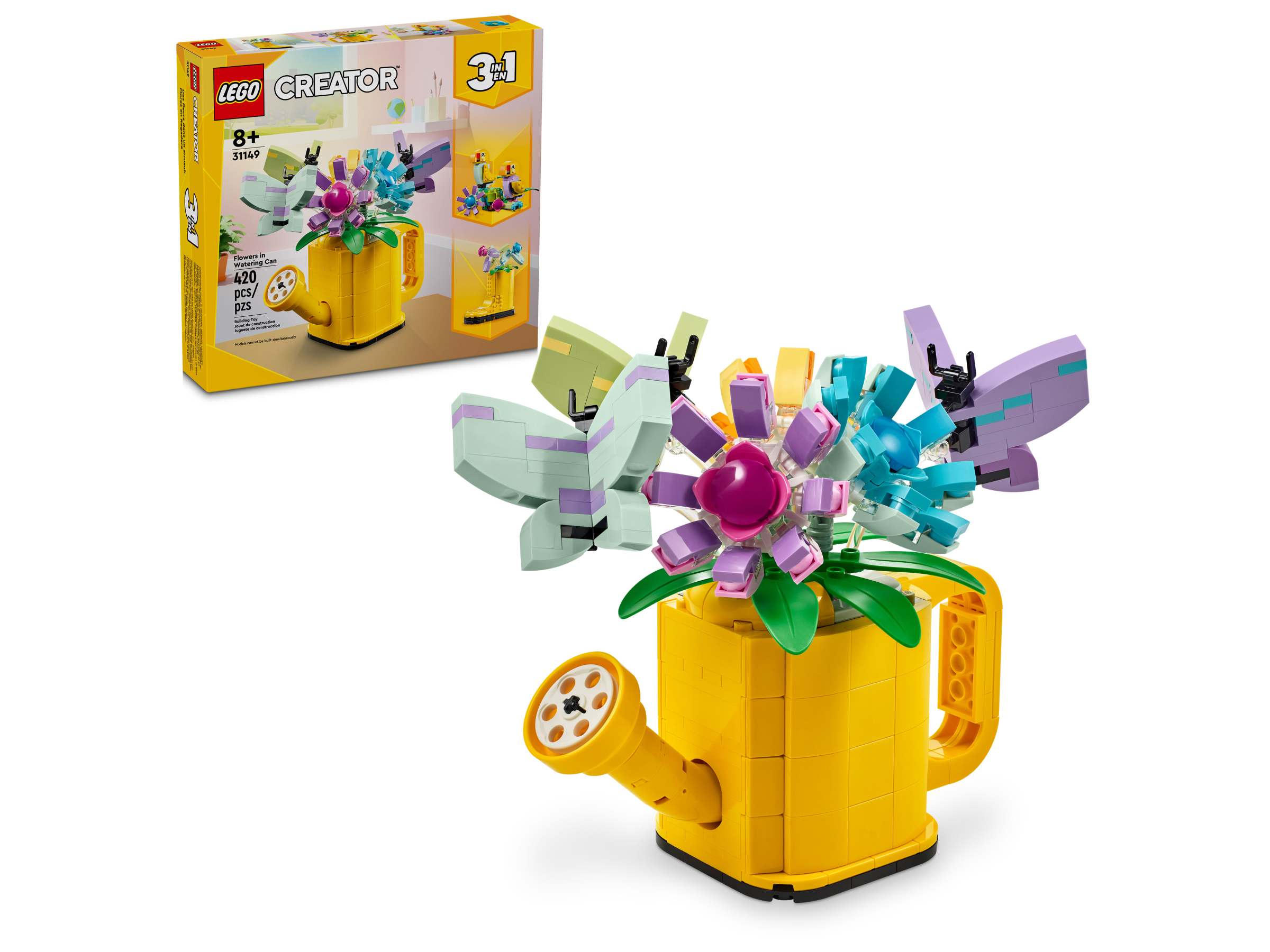 Les fleurs dans l’arrosoir 31149