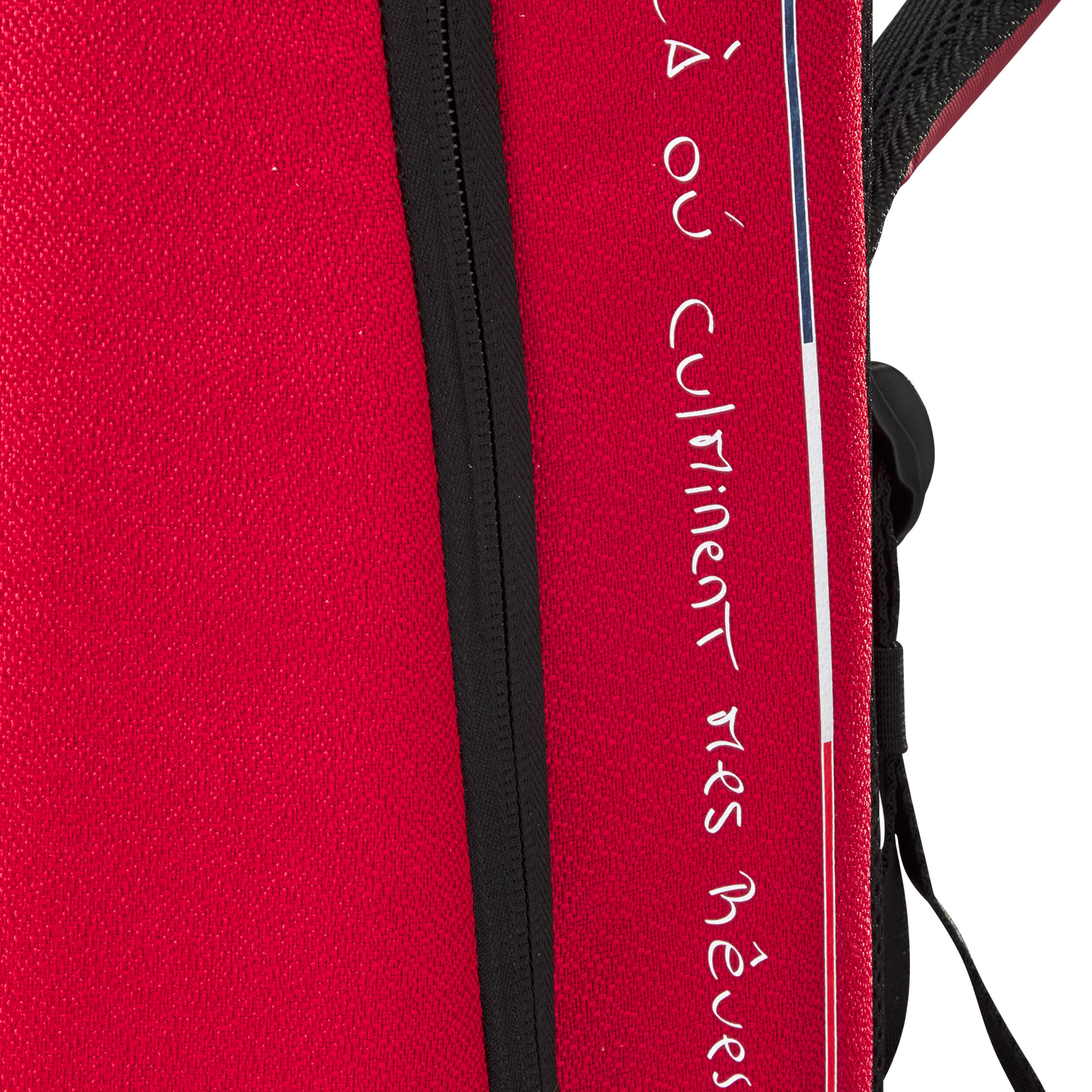 Bela Pro V2.5 Le FRA + Bela DNA Rucksack