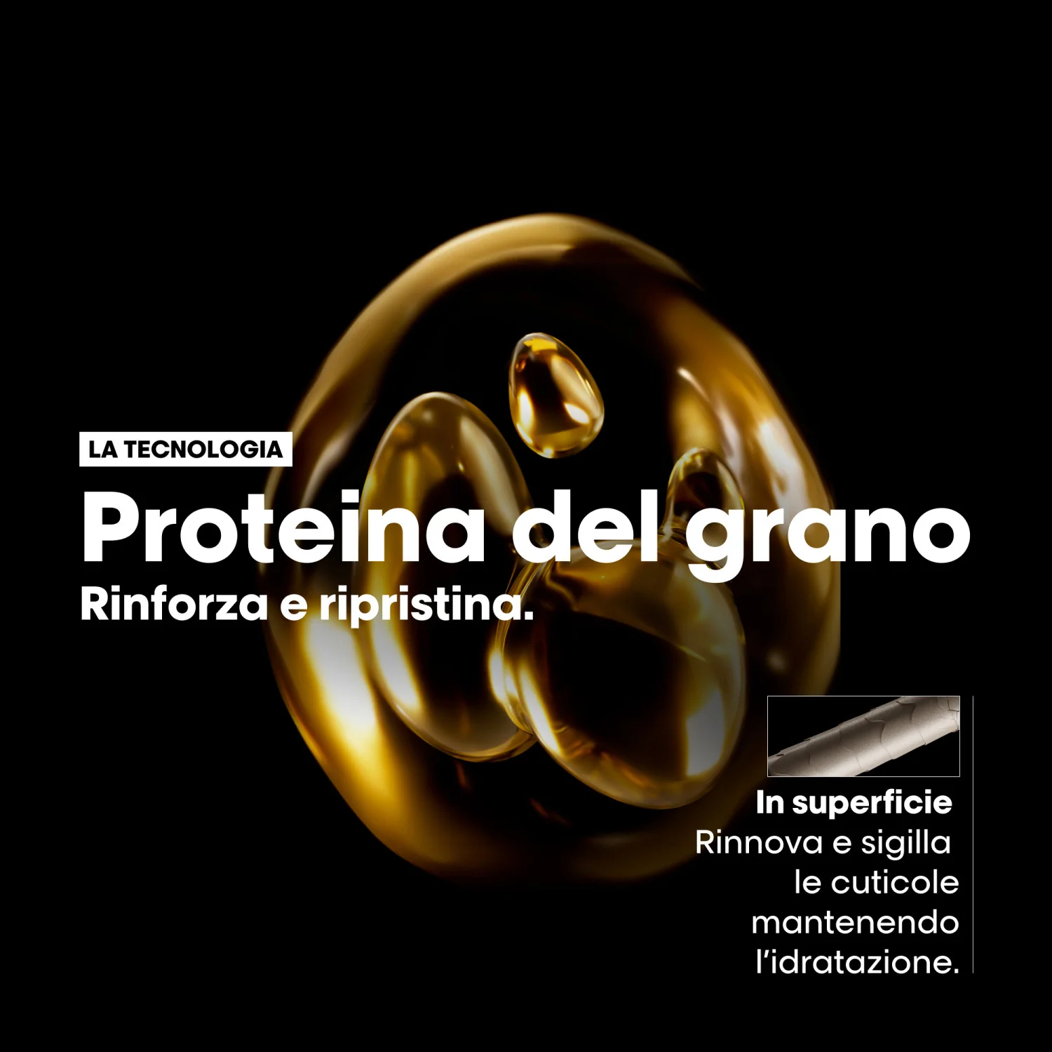 SARJAN EXPERT Uusi Cofanetto Natale Absolut Repair Trio - Cofanetti per Capelli