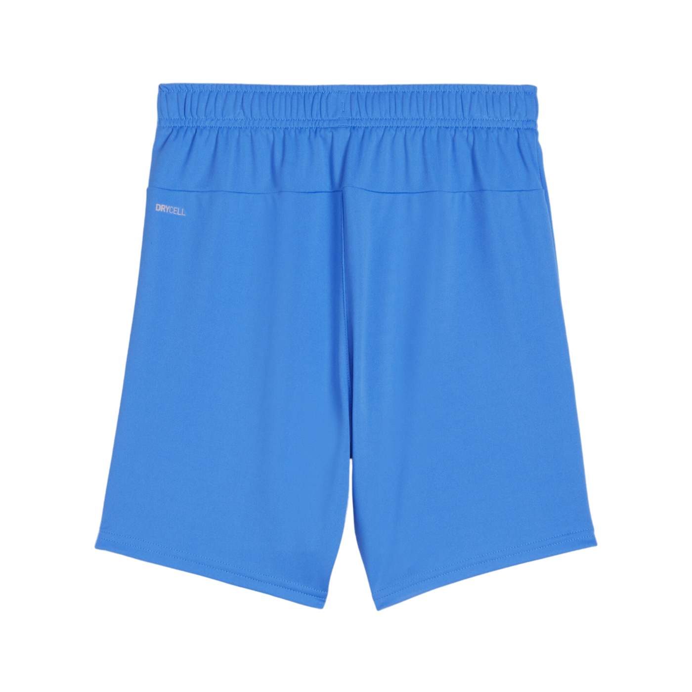 PUMA teamGOAL Short Kids Blau Weiss F02