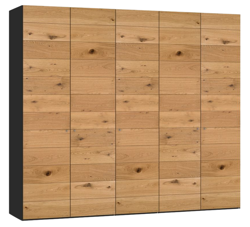 Jutzler Drehtürenschrank Longline Eiche Schwarz