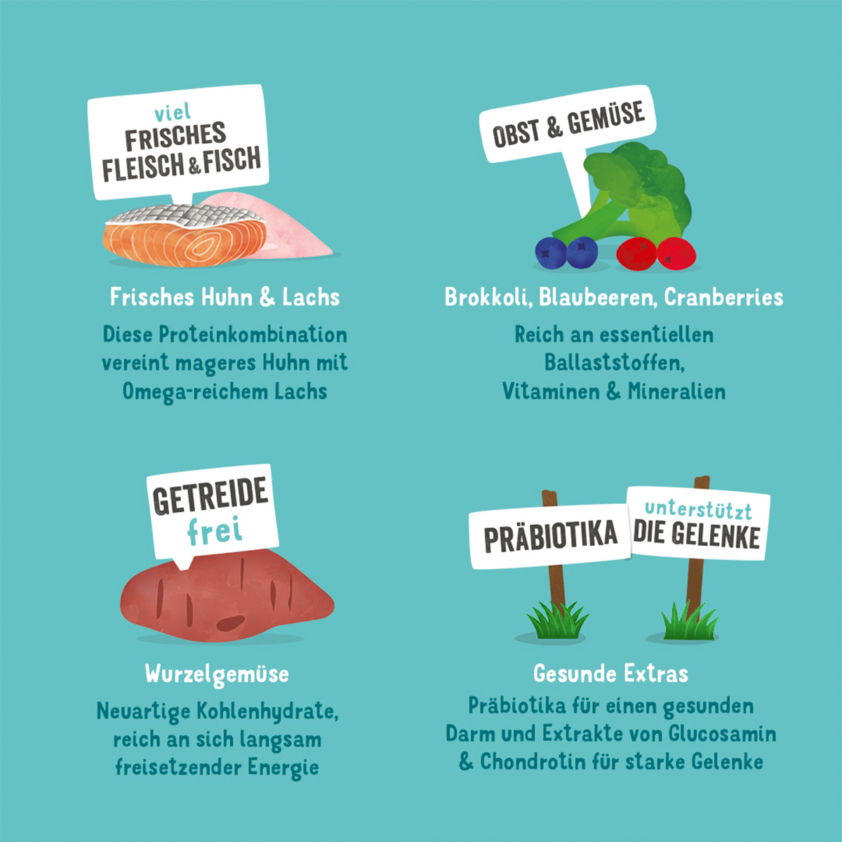 Edgard & Cooper Senior Frisches Huhn & Lachs kaufen bei ZooRoyal