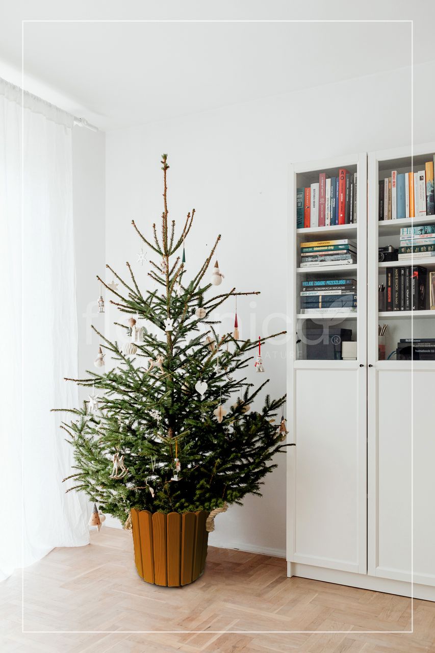 Pemicont Floranica Runder Blumentopf aus Holz 33x20cm Braun Imprägniertes Kiefernholz Schutzhülle für Kräuter Blumen Haus- und Gartendekoration Truhe Für den Innen- und Außenbereich