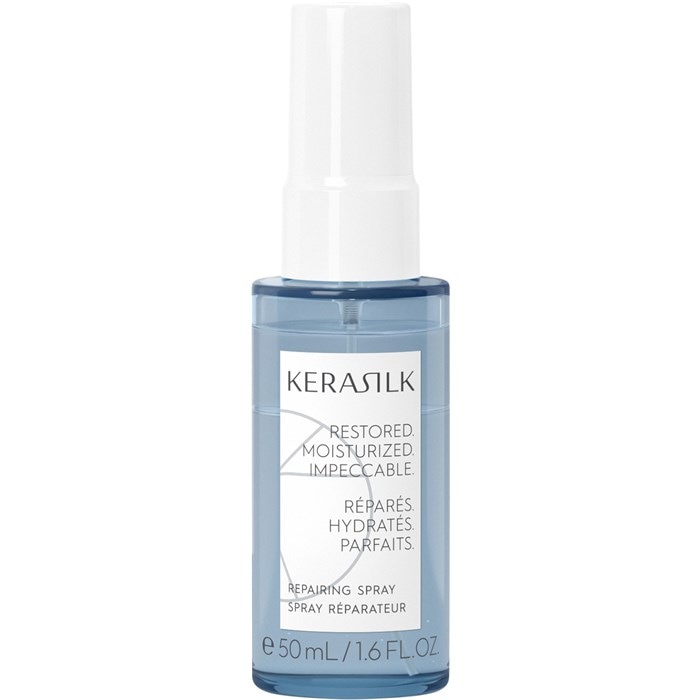 Reparatur Spray