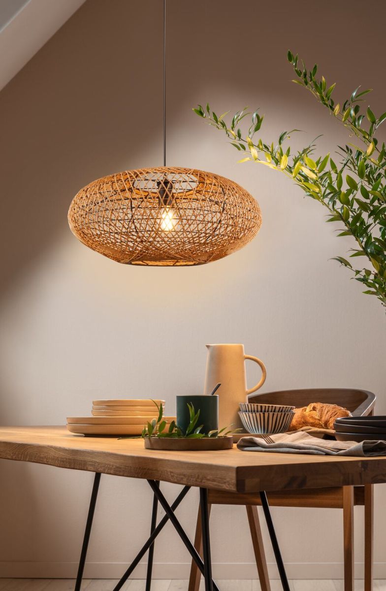 TRIO 1-flg Pendelleuchte Hedda