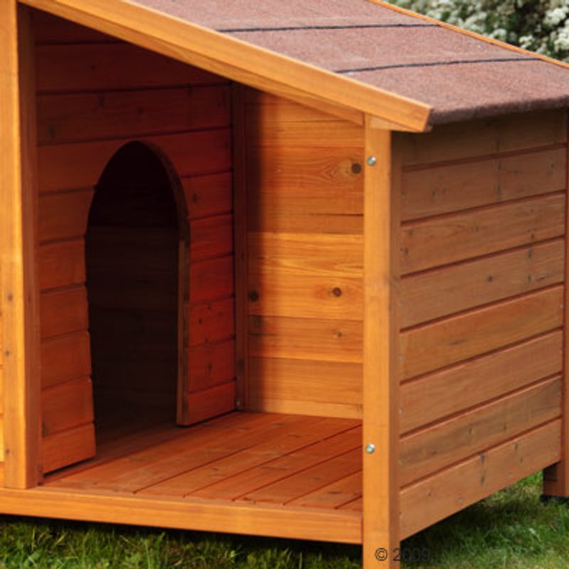 Hundehütte Spike Special zu Discountpreisen % bei bitiba.de