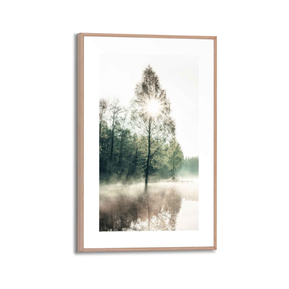 Rahmenbild Sunny Tree