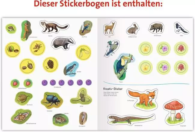 Ravensburger Wieso? Weshalb? Warum? aktiv-Heft: Wald