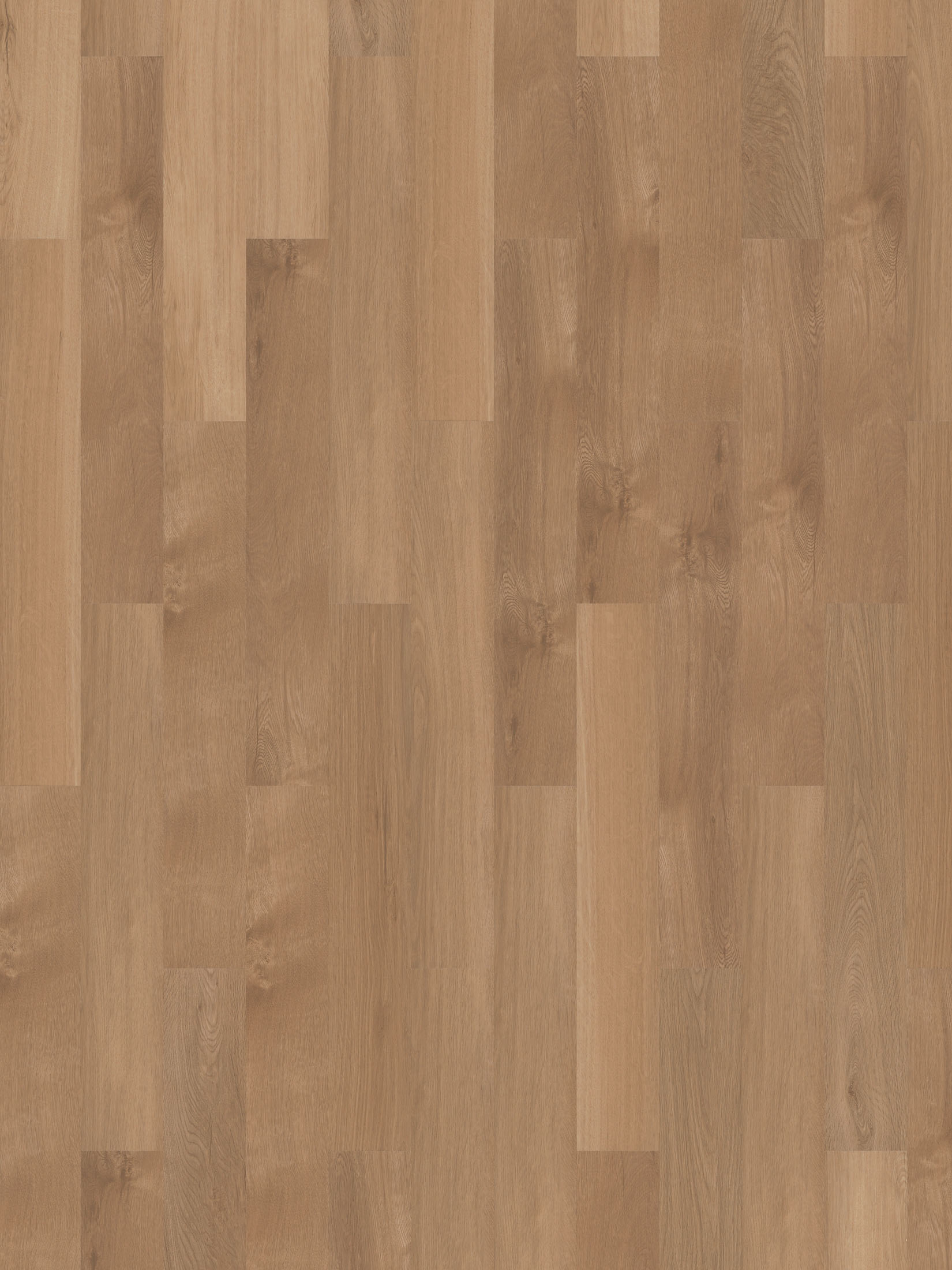 Tornby Vinylboden, Warm Oak Coll23112