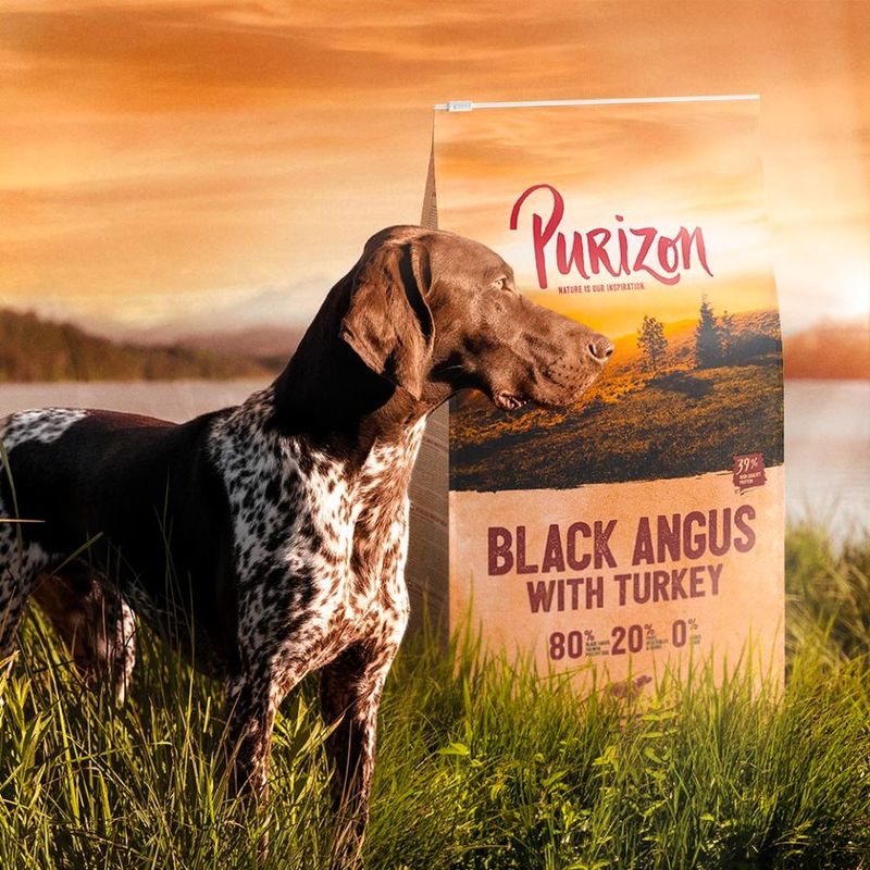 Probierpaket Purizon - getreidefrei