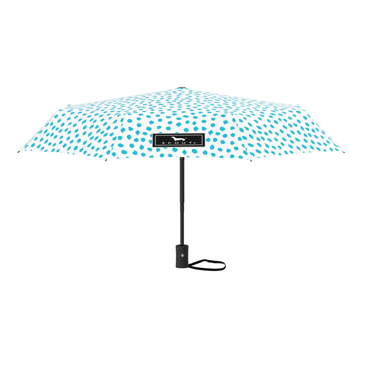 Umbrella High and Dry