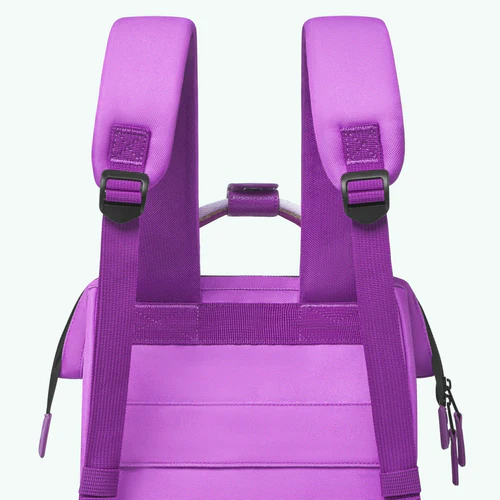 Adventurer Small Naxos Backpack, Purple