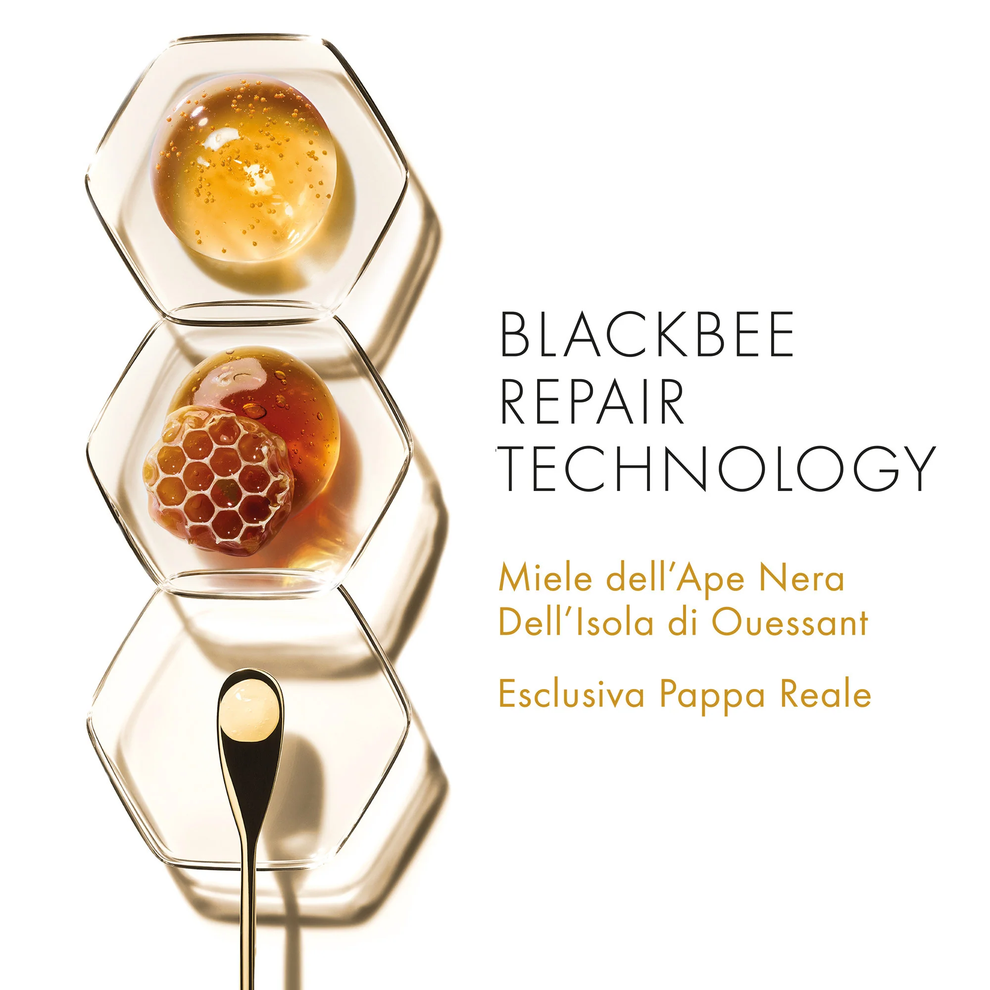 Abeille Royale Crème Yeux – Anti-Falten-Augenkontur