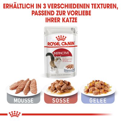 Royal Canin Instinctive Mousse