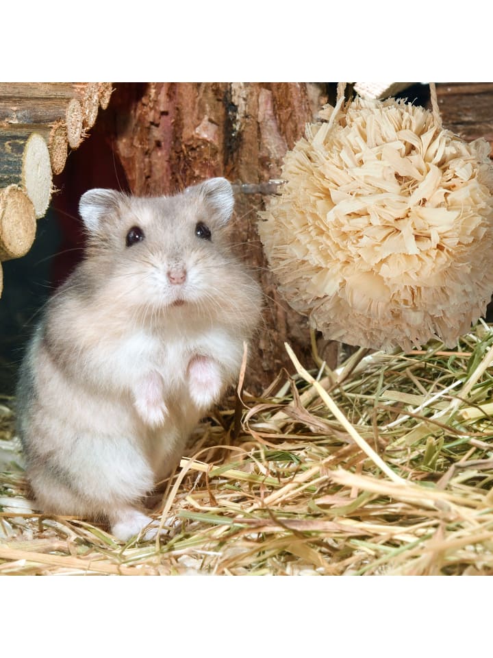 relaxdays 5-tlg. Hamsterzubehör Set in Natur günstig kaufen onesize