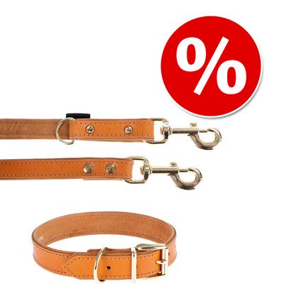 Heim Set: Lederhalsband & Vorführleine Buffalo, cognac