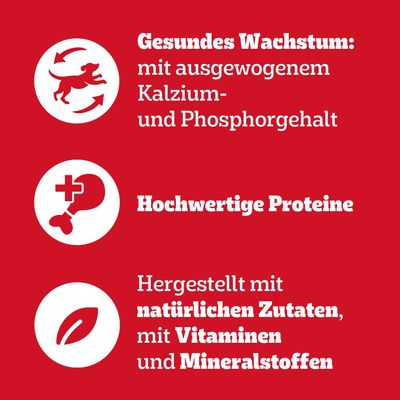 Pedigree Junior Frischebeutel Multipack