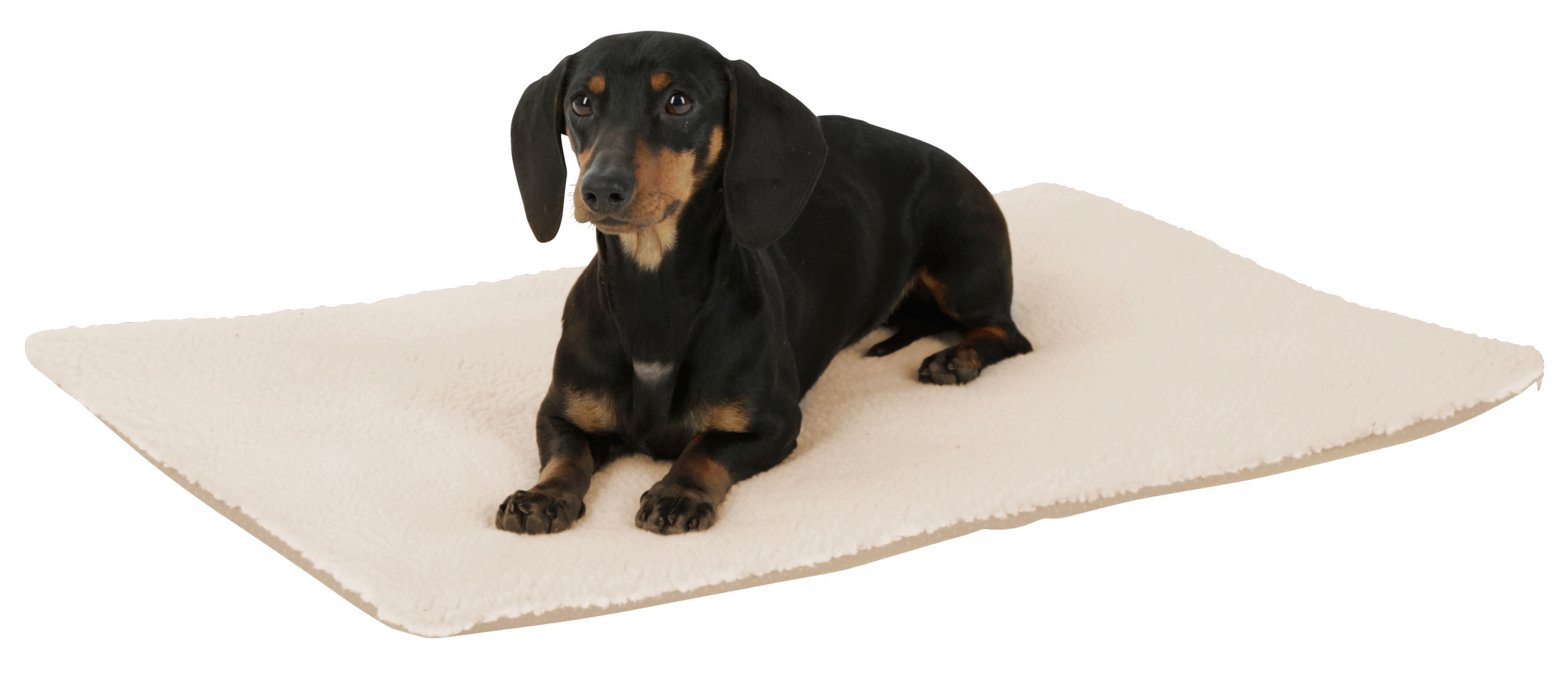 Kerbl Hundekissen Kerbl Pet Liegekissen Theo, Beige, 75x50x3cm L