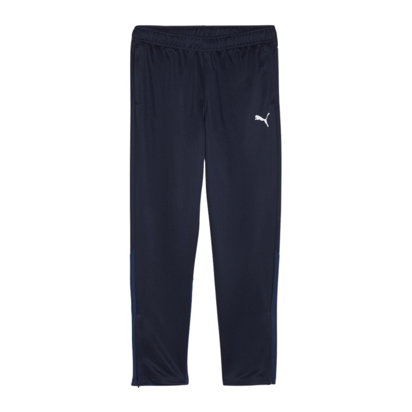 PUMA teamGOAL Training Jogginghose Damen Blau F06