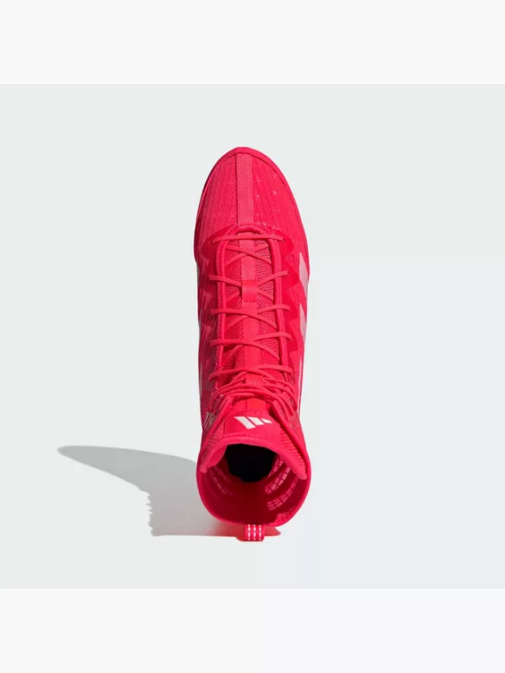 adidas Box Hog 4 Boxschuh
