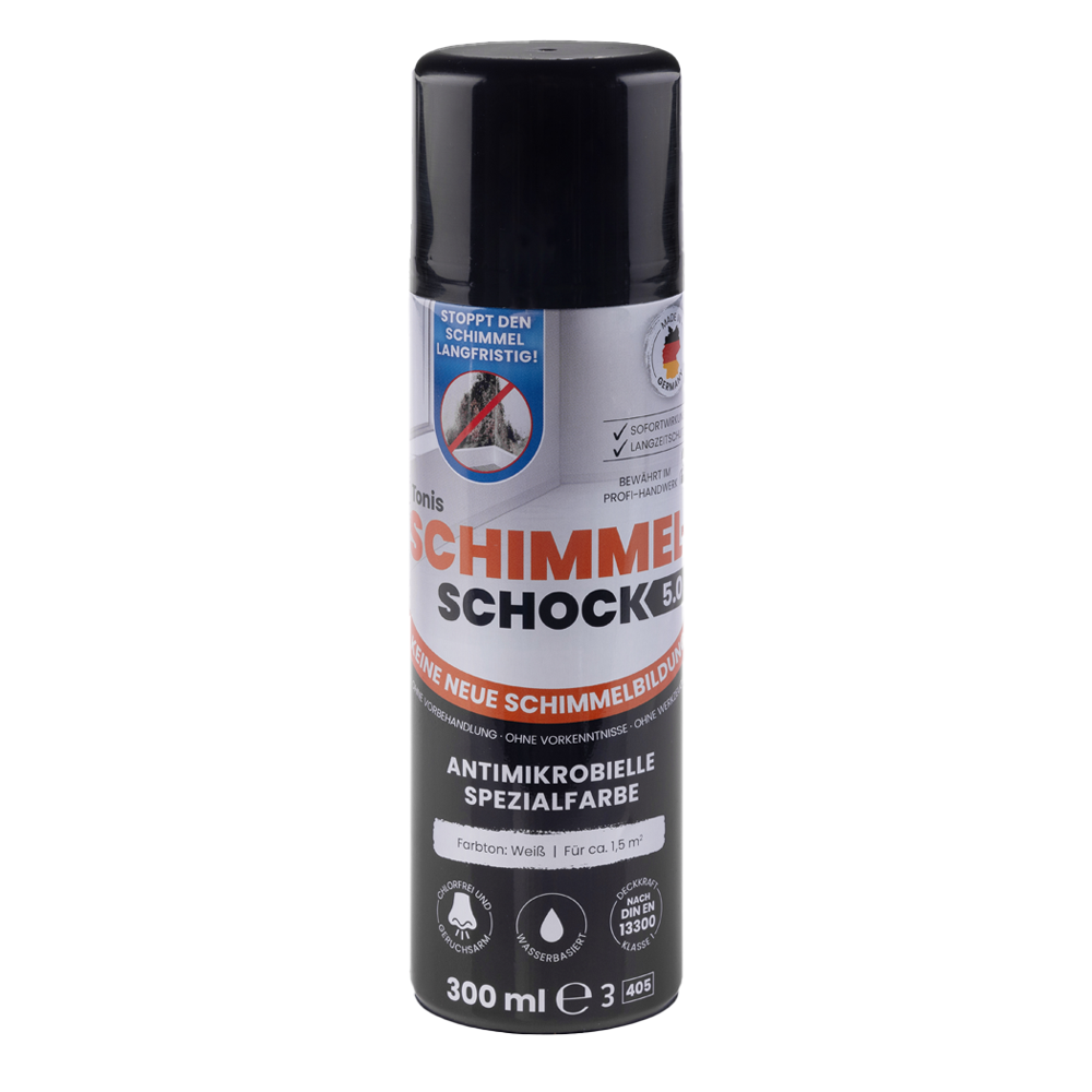 DS-Produkte Schimmel-Schock Sprühdose 300ml